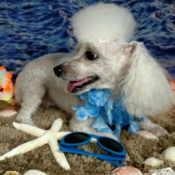 Make an offer on any item!😊 - Picture 4 of 5